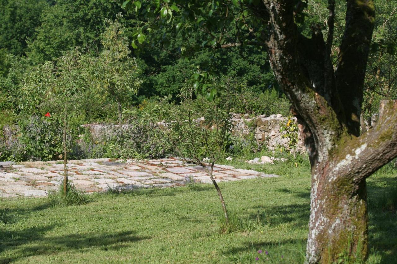 Pazo De Chaioso Ribeira Sacra Maceda Eksteriør billede