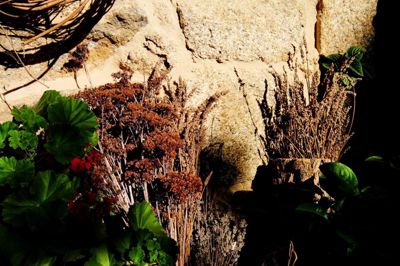 Pazo De Chaioso Ribeira Sacra Maceda Eksteriør billede